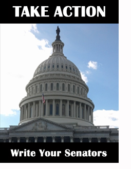tcp_write_senator