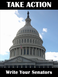 tcp_write_senator_2